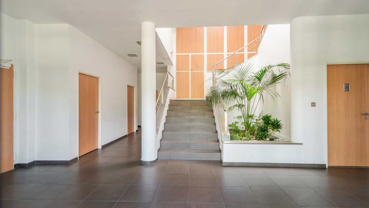 grandmoderne